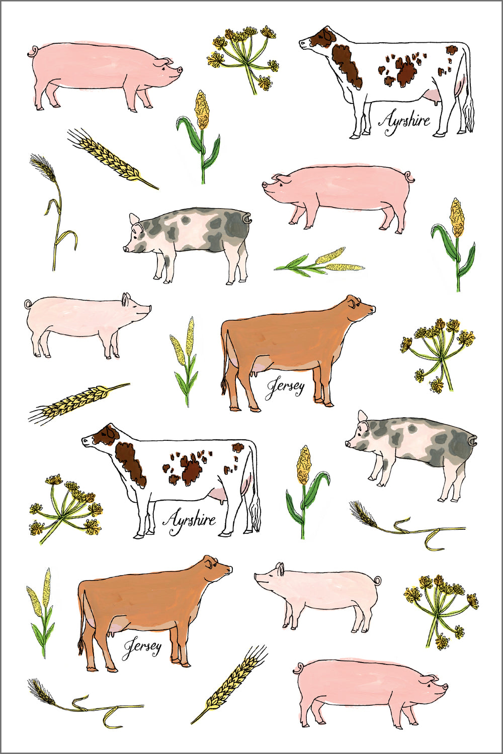 Farm Anatomy Sticker Book
