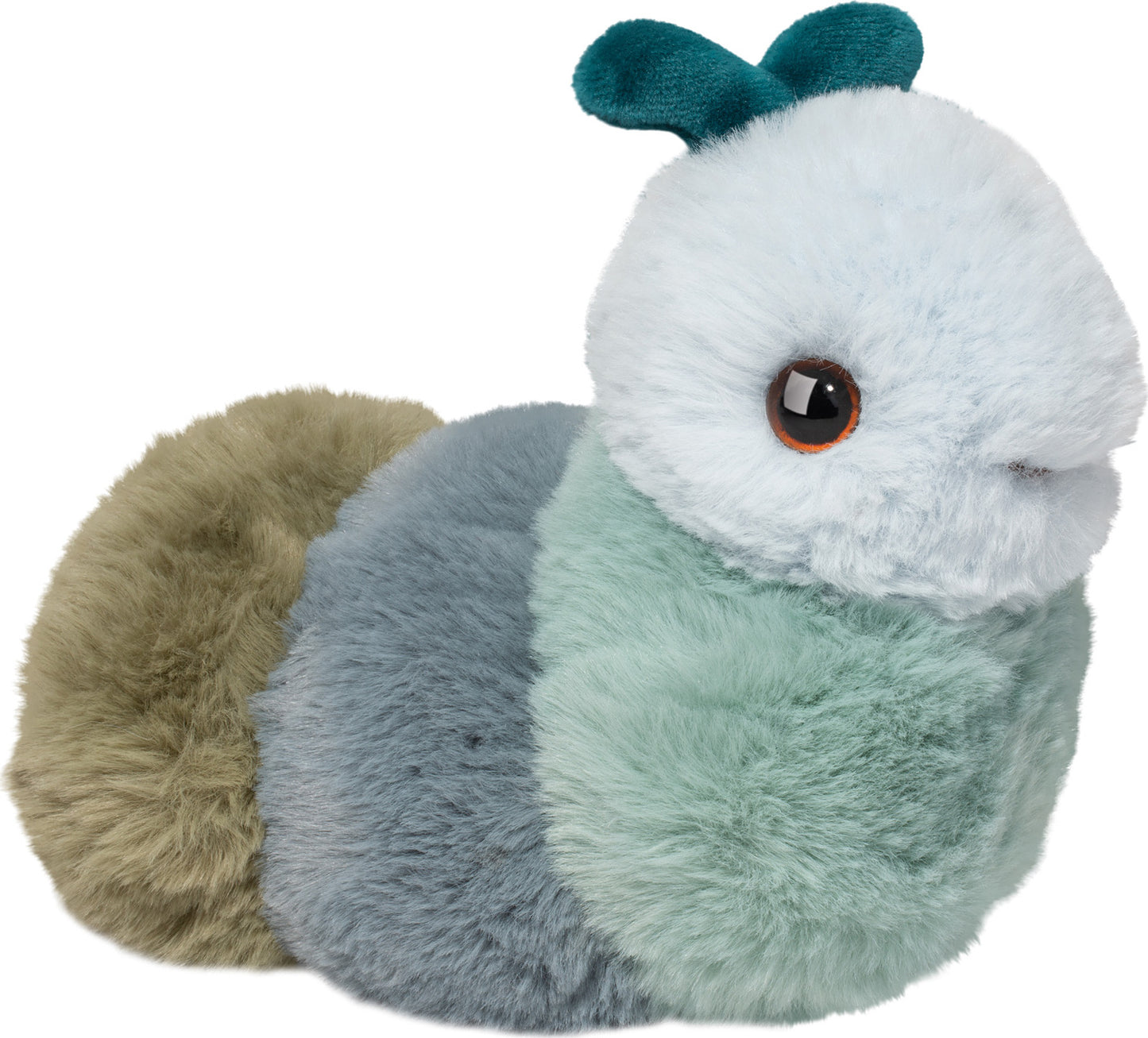 Douglas Silas Blue Caterpillar