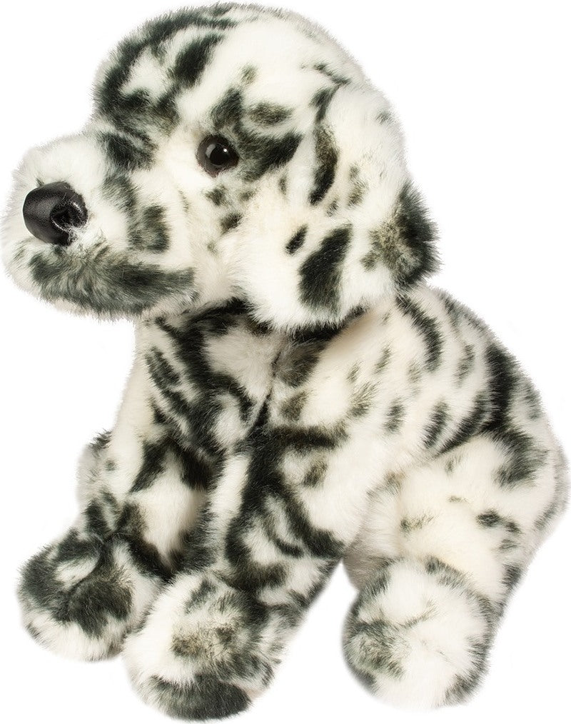 Mackay Dalmatian