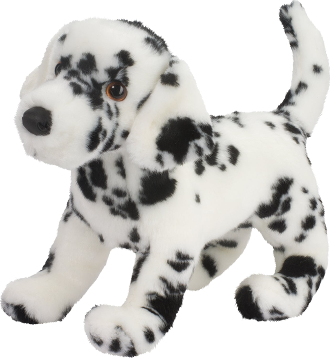 Douglas WINSTON DALMATIAN