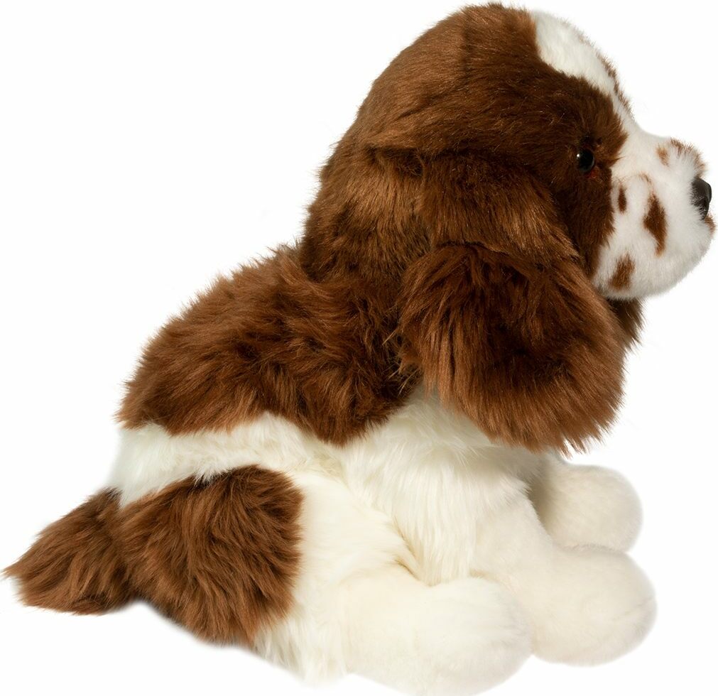 Doulgas Chip Springer Spaniel