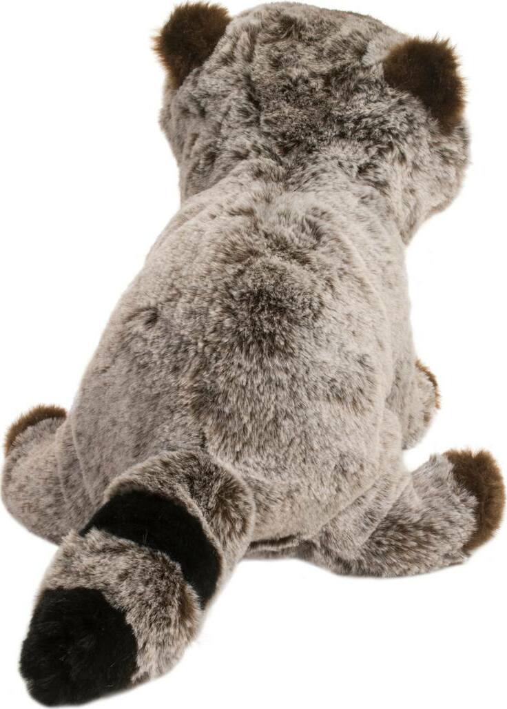 Ringo Raccoon