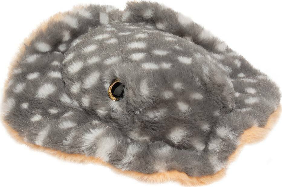 Stella Stingray