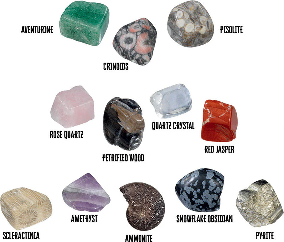 I Dig It! Rocks & Fossils - Mini Excavation (24 unit display)