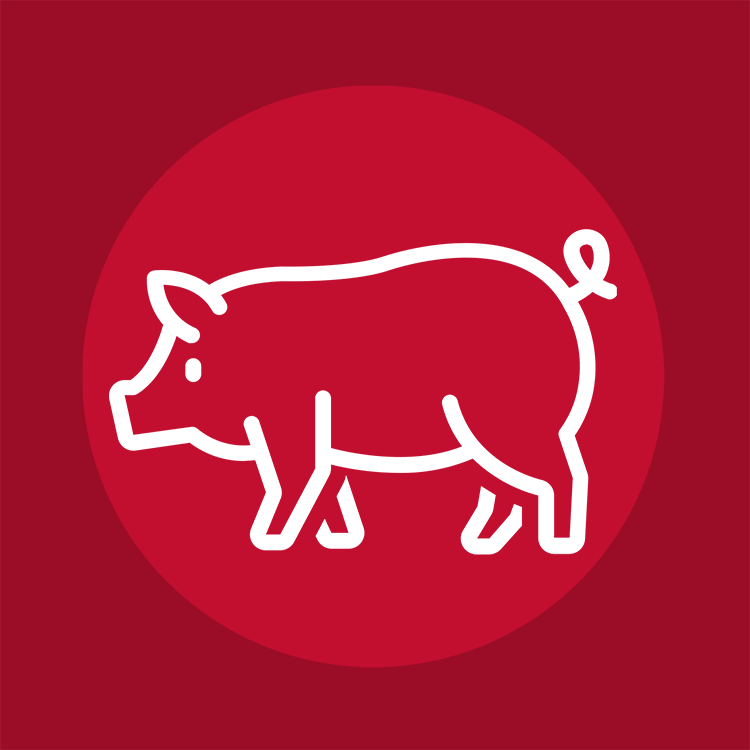 Animal & Action Figures