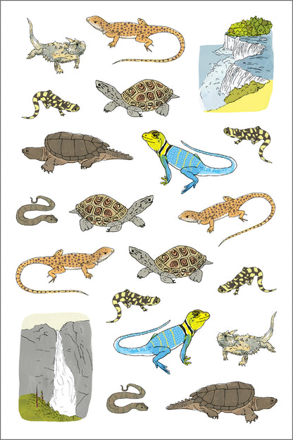 Nature Anatomy Sticker Book