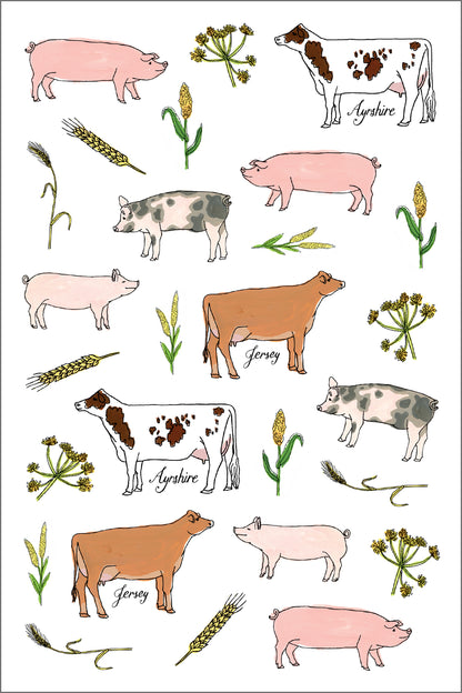 Farm Anatomy Sticker Book