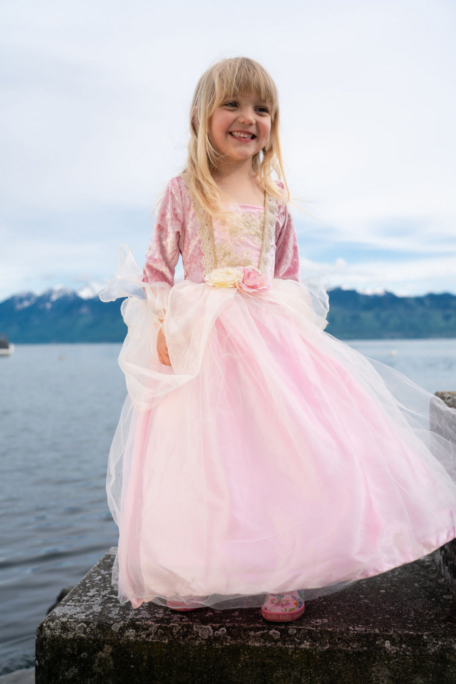 Pink Rose Princess Dress (Size 5-6)