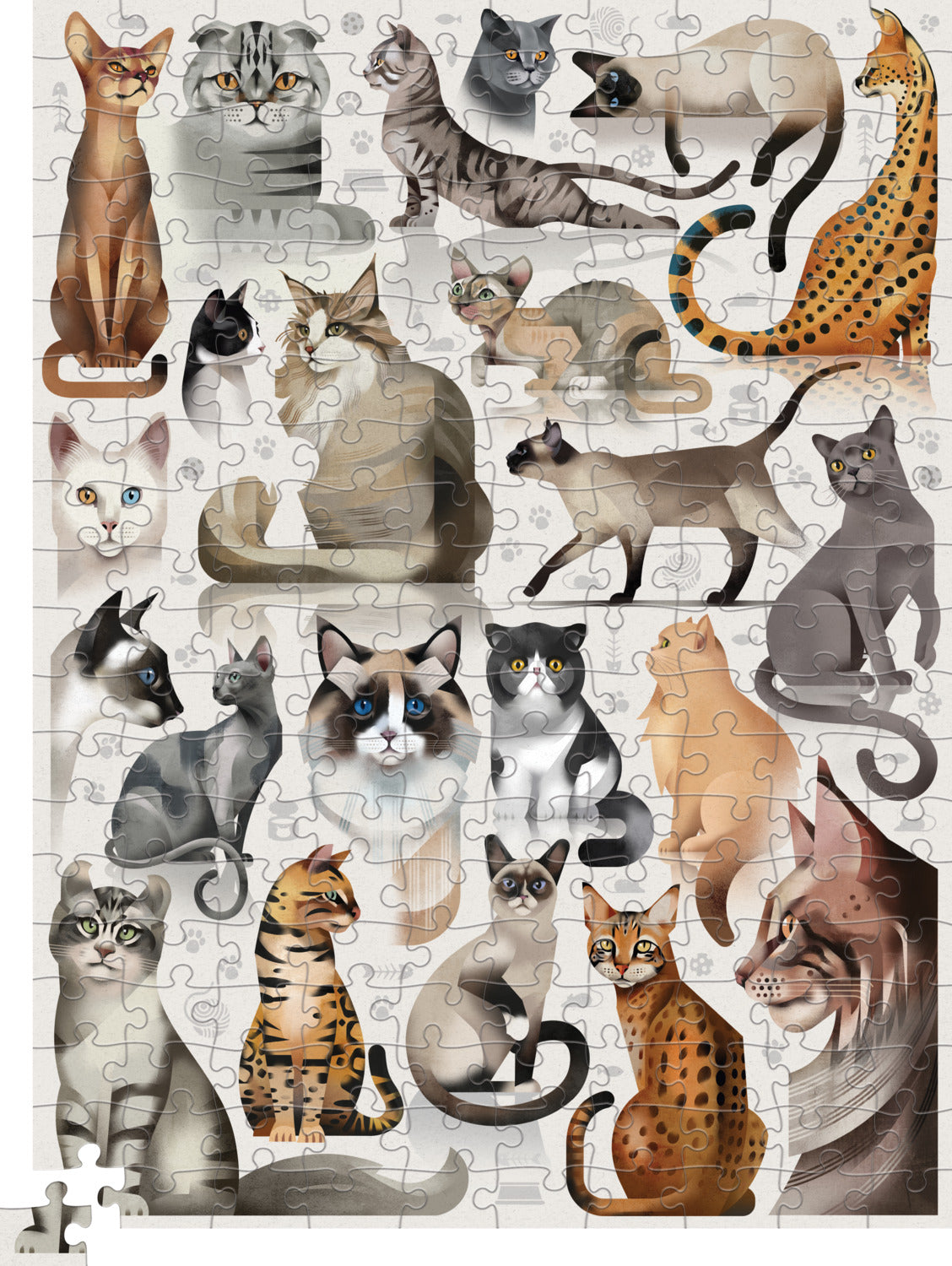 Cat Breeds 200pc Puzzle – Tom's Toys