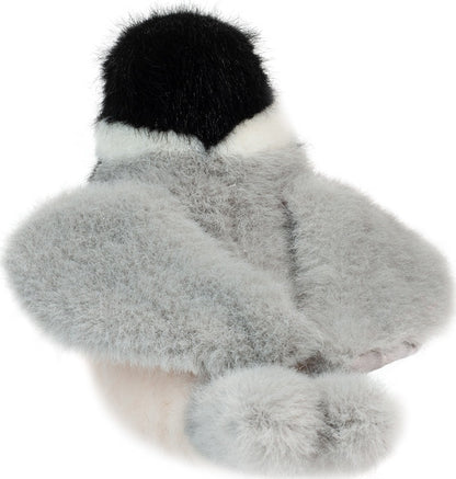 Douglas Chipper Chickadee