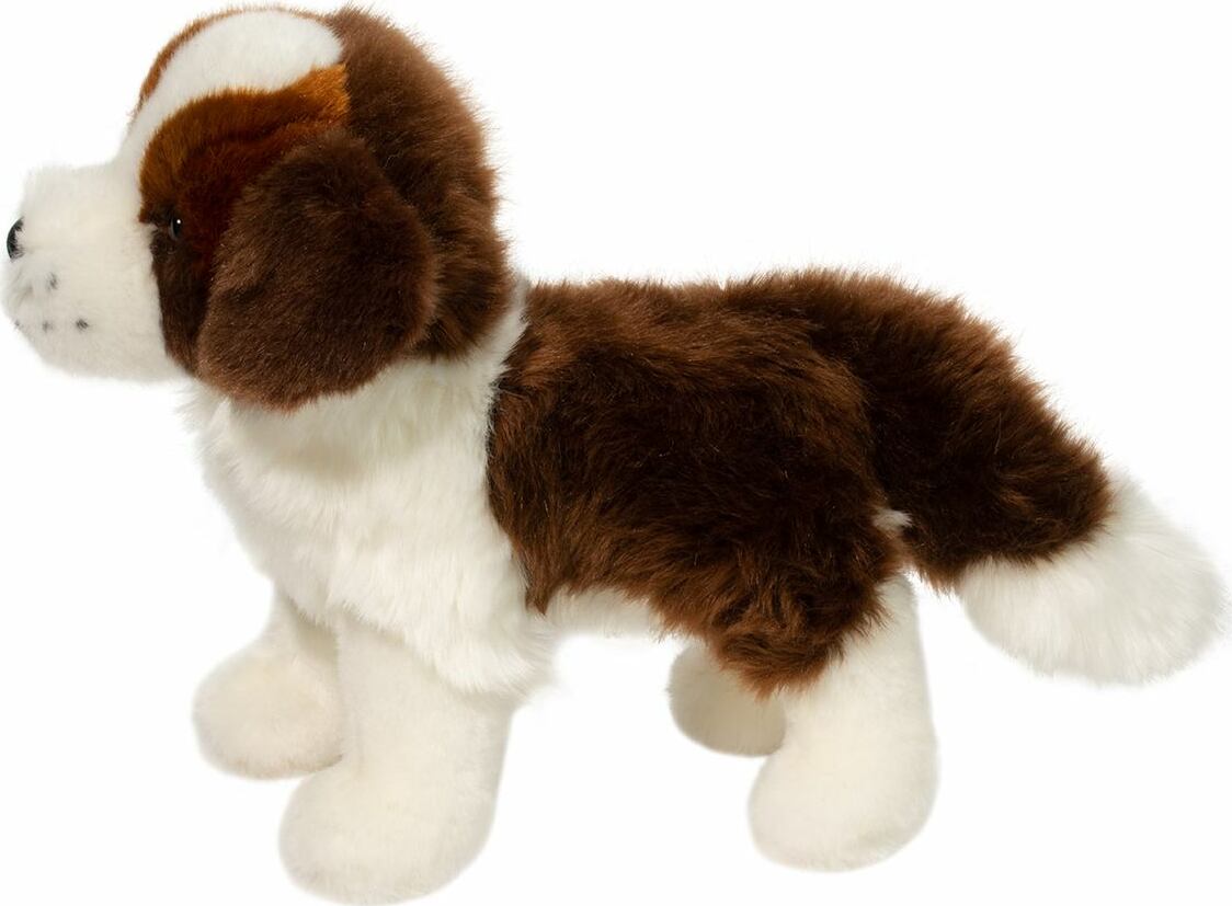 Brutus St. Bernard