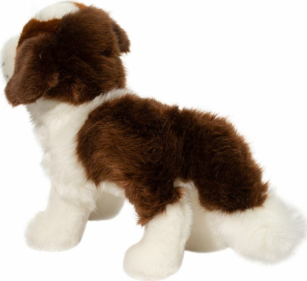 Brutus St. Bernard