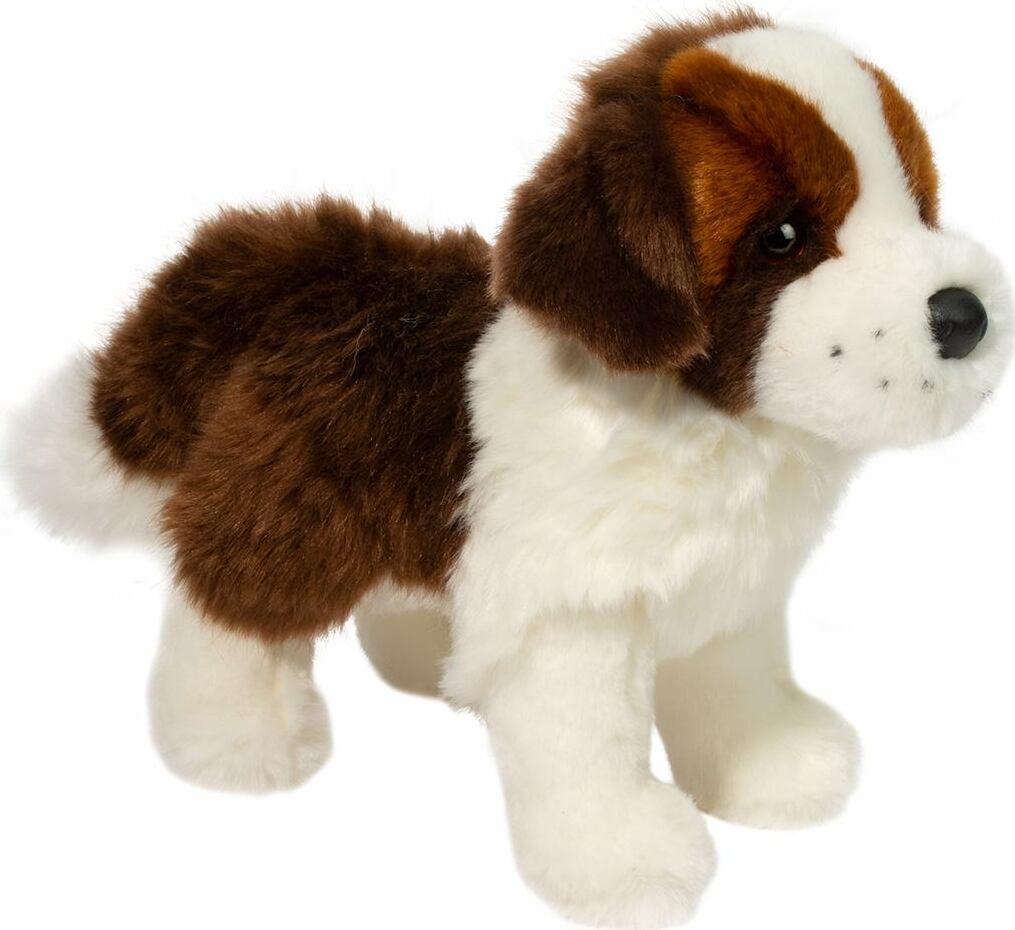 Brutus St. Bernard