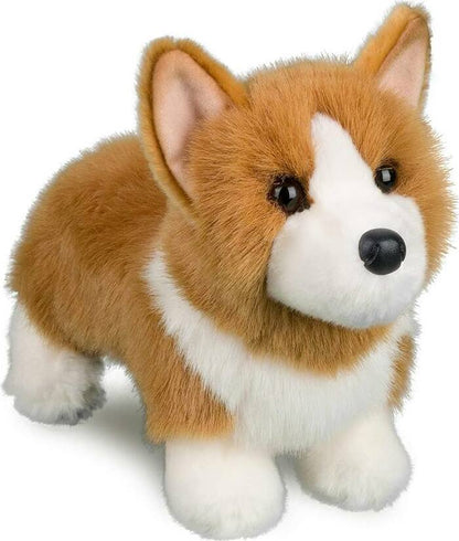 Douglas Louie Corgi