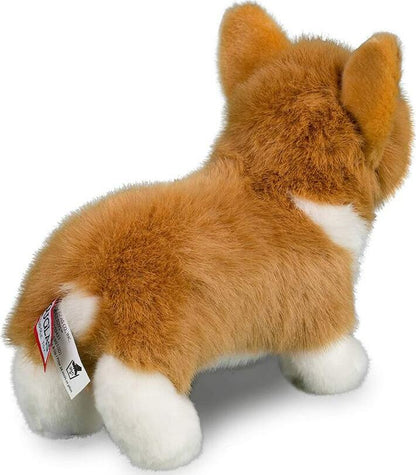 Douglas Louie Corgi