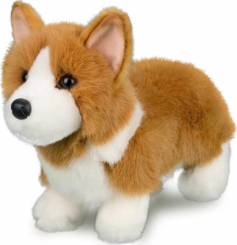 Douglas Louie Corgi