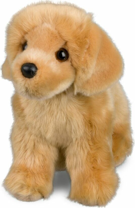 Chap Golden Retriever
