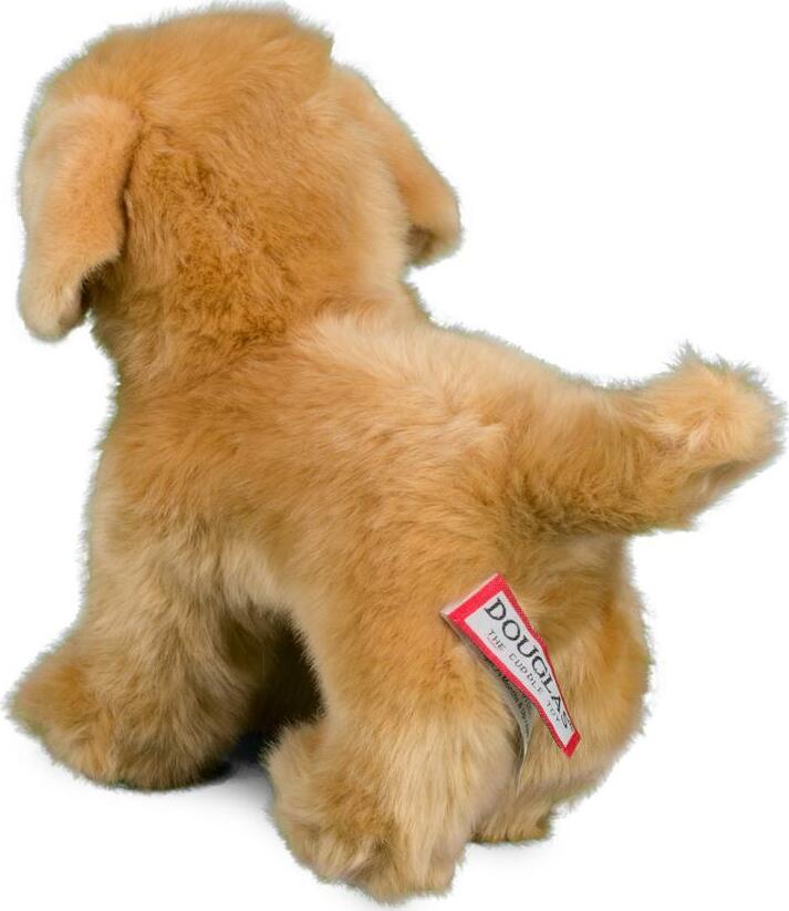 Chap Golden Retriever