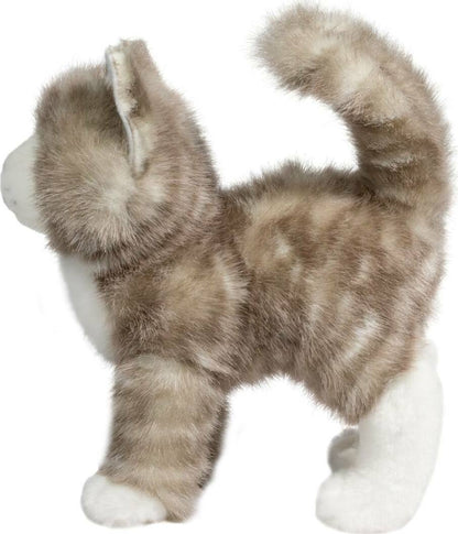 Zipper Gray Tabby Cat