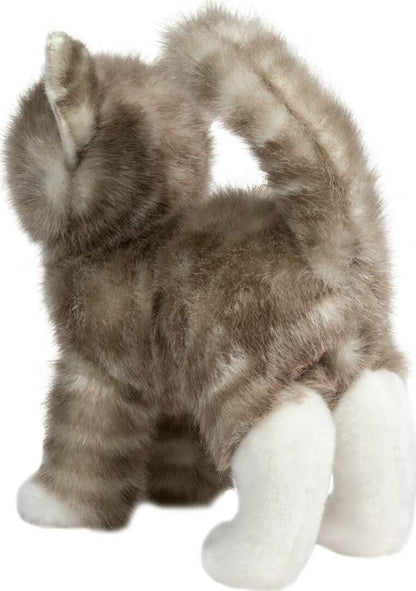 Zipper Gray Tabby Cat