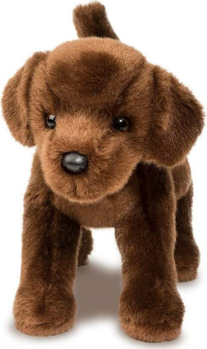 Douglas Cc Bean Choco Lab