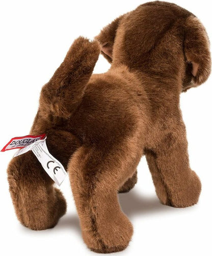 Douglas Cc Bean Choco Lab