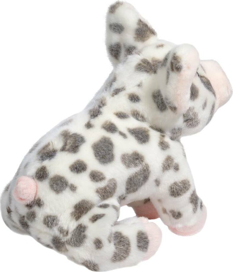 Douglas Pauline Spot Pig Sm