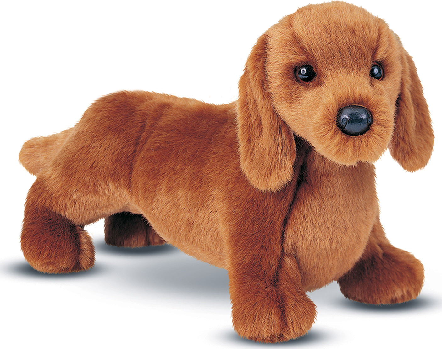 Douglas Gretel Dachshund