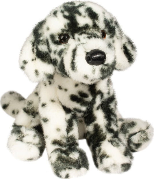Mackay Dalmatian