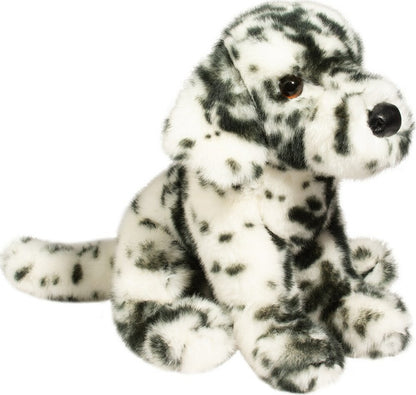 Mackay Dalmatian