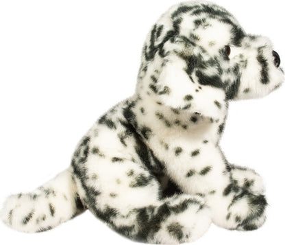 Mackay Dalmatian