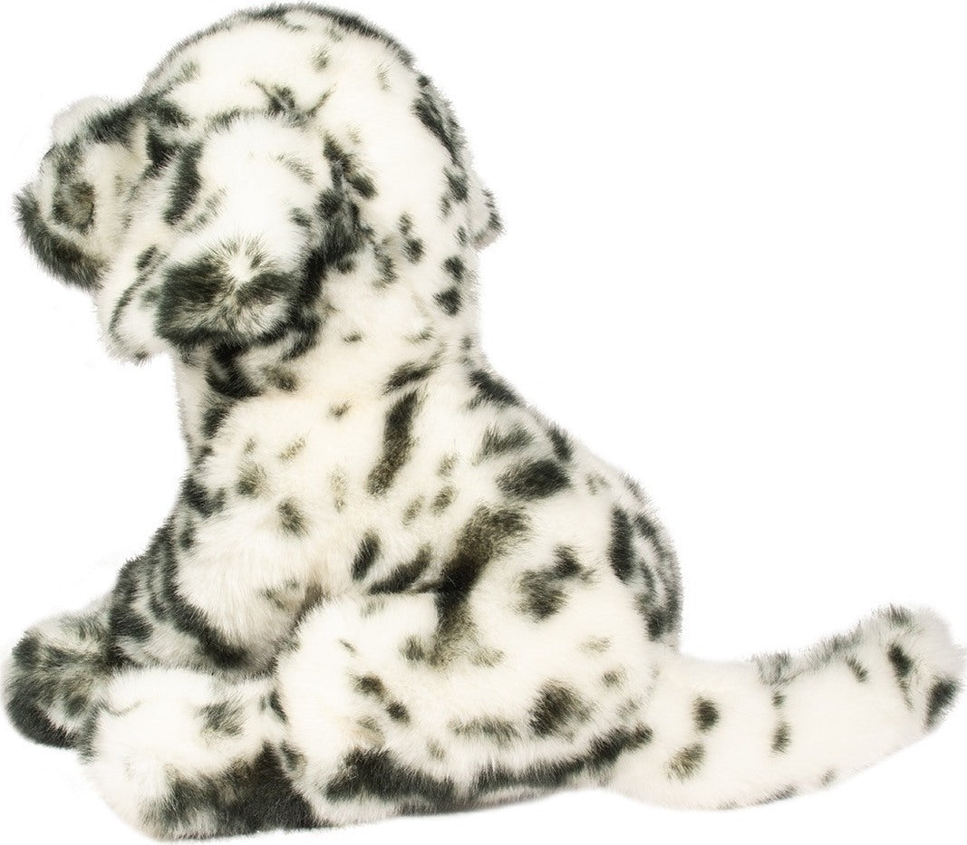 Mackay Dalmatian