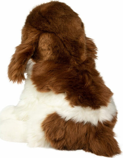 Doulgas Chip Springer Spaniel
