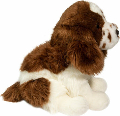 Doulgas Chip Springer Spaniel