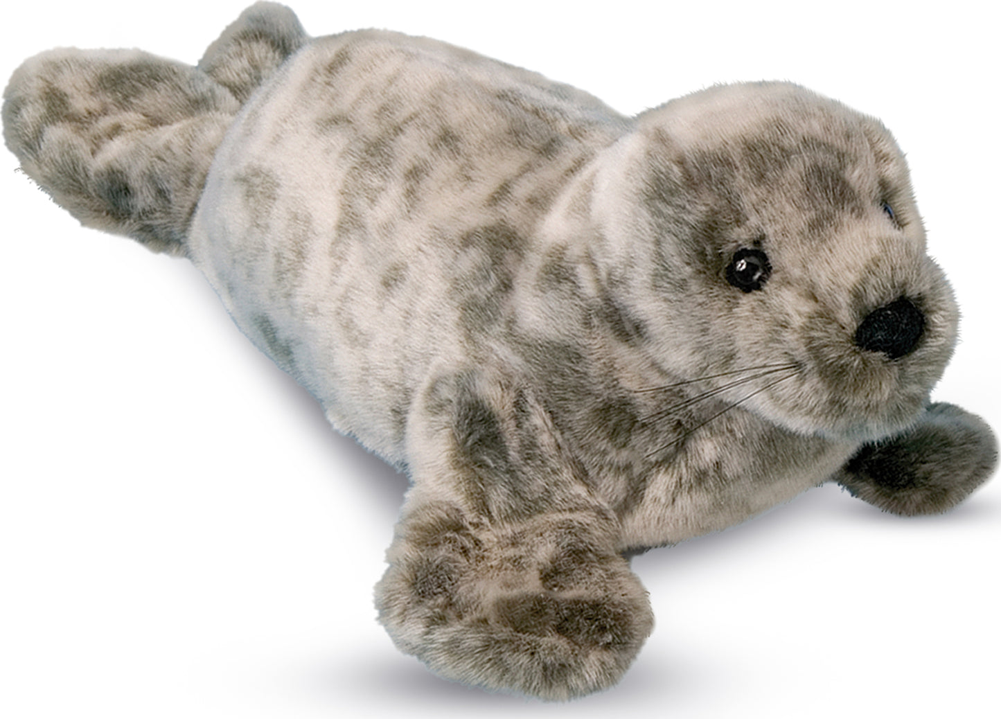 Douglas Speckles Monk Seal