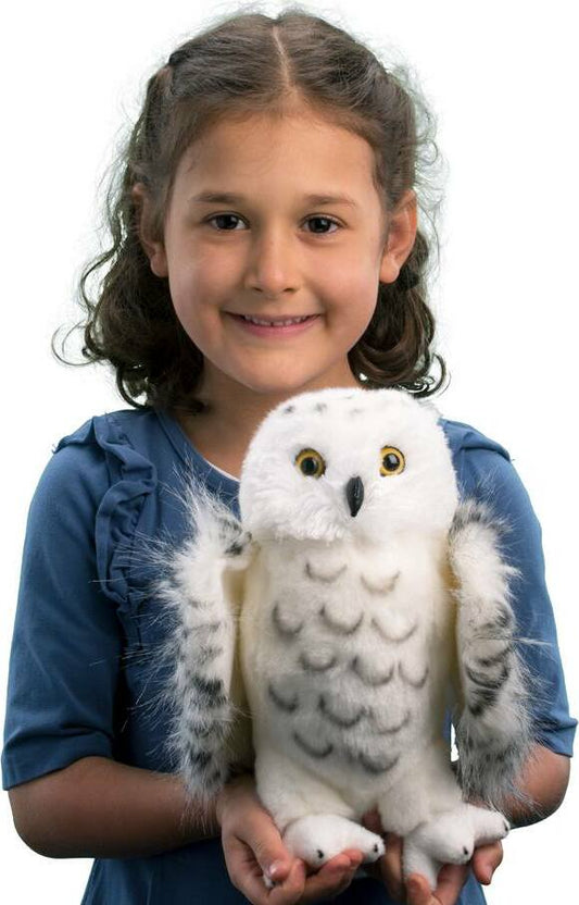 Douglas Legend Snowy Owl