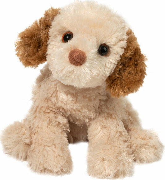 Douglas Biscuit Cavapoo