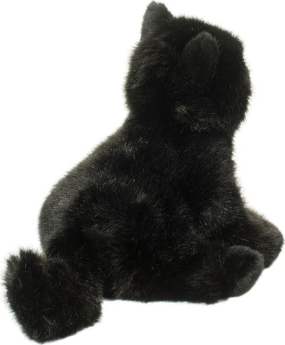 Salem Black Cat
