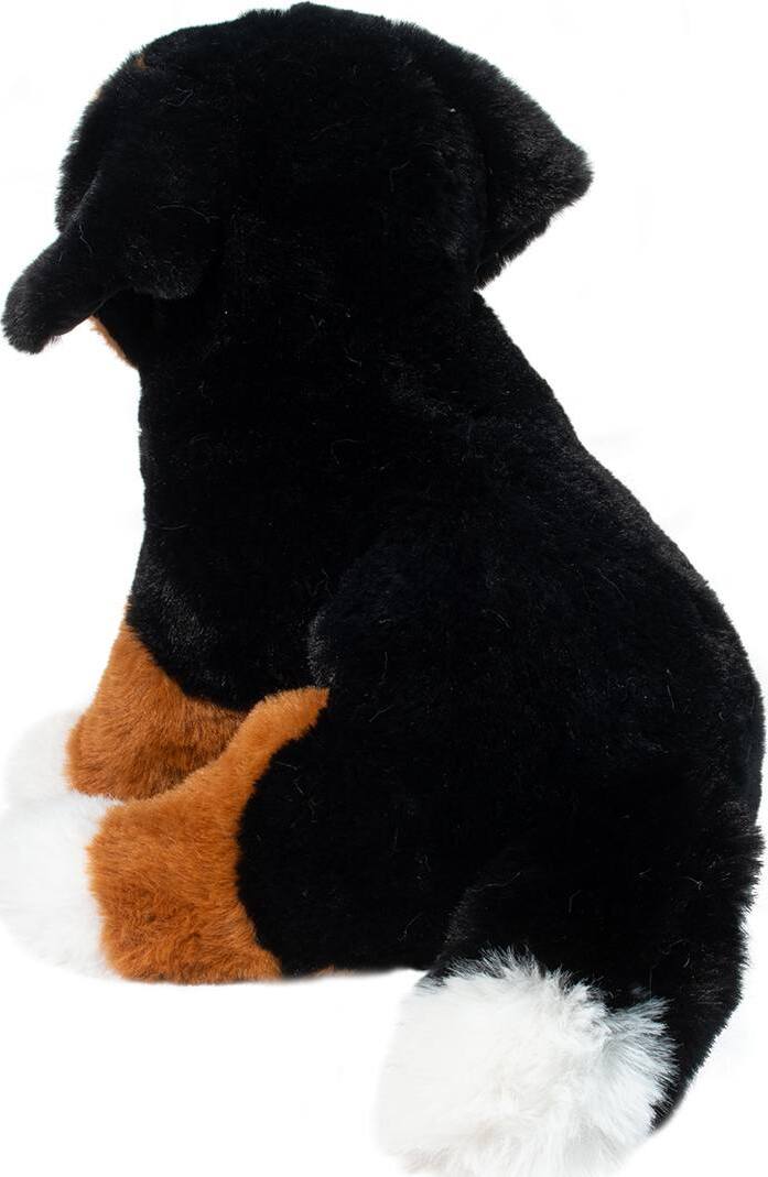 Douglas Bowie Bernese Mountain Dog Soft