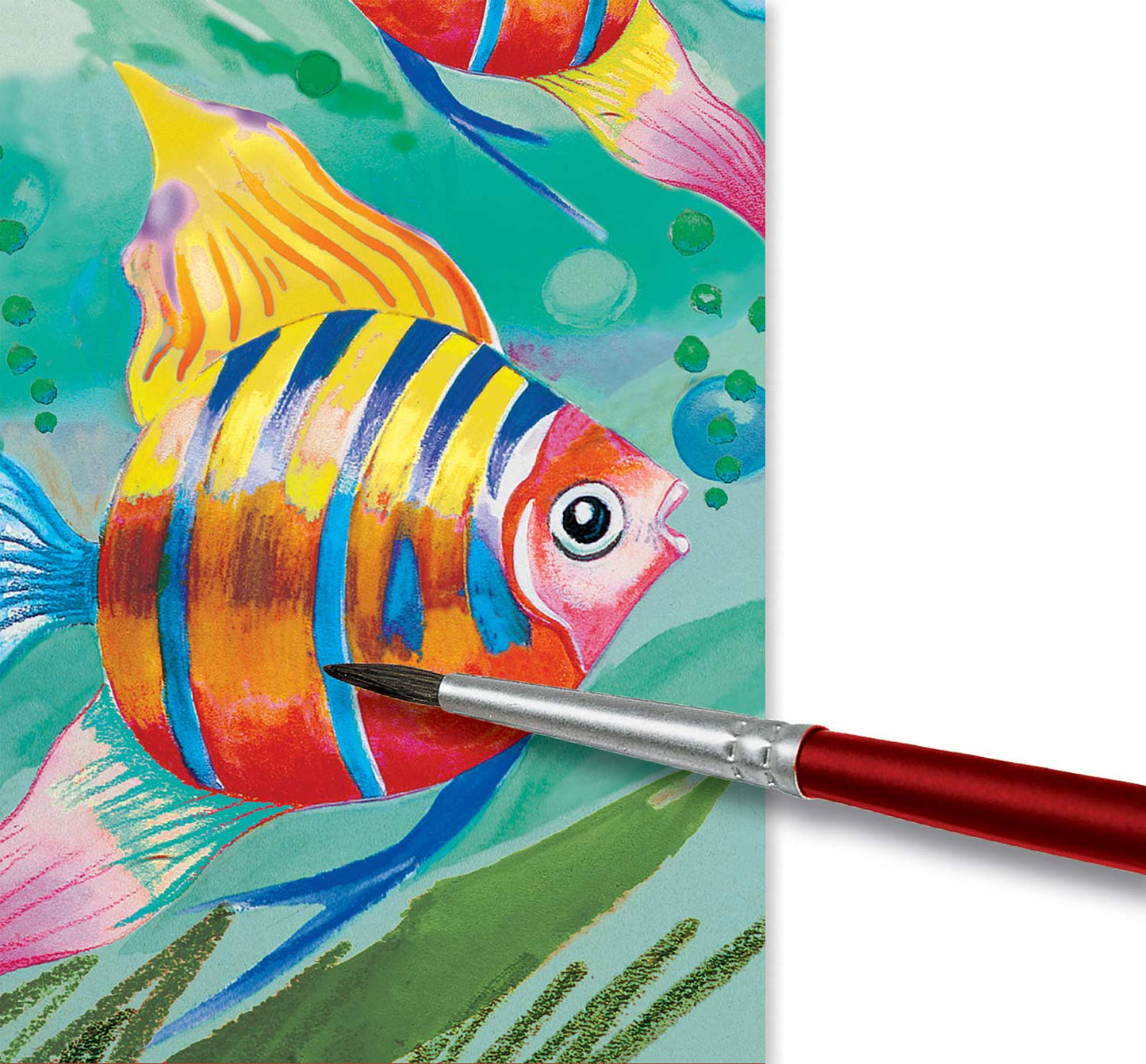 FC Watercolor Paint Set