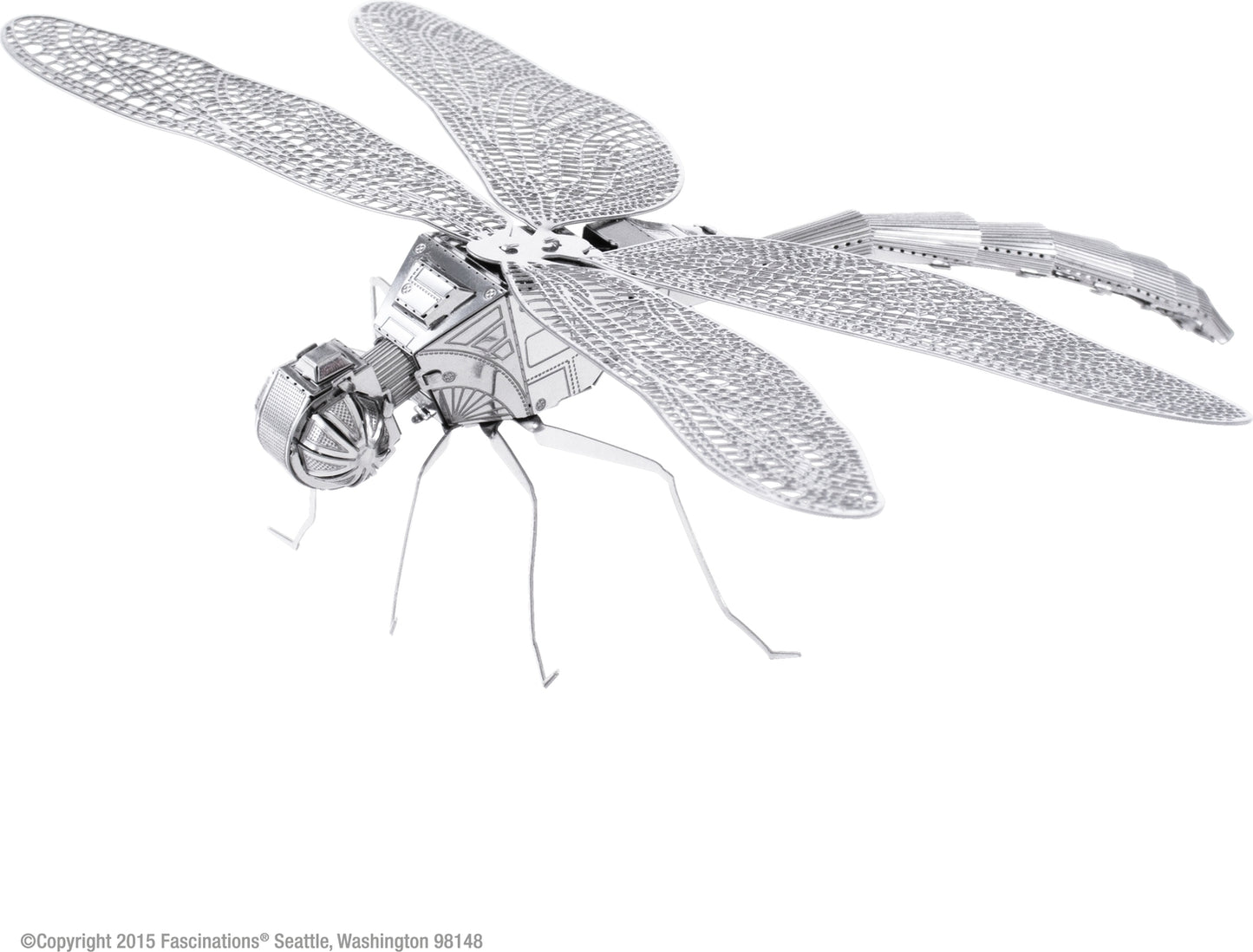 Fascinations Dragonfly