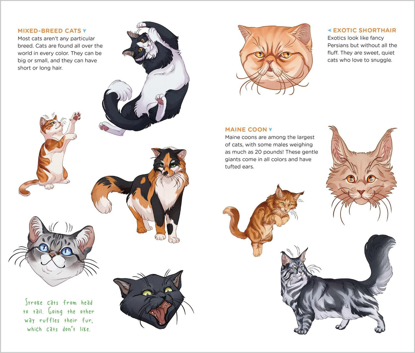 Cute, Cuddly Tattoo Cats & Kittens Temporary Tattoos