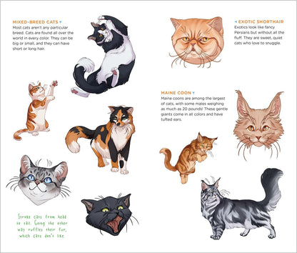 Cute, Cuddly Tattoo Cats & Kittens Temporary Tattoos