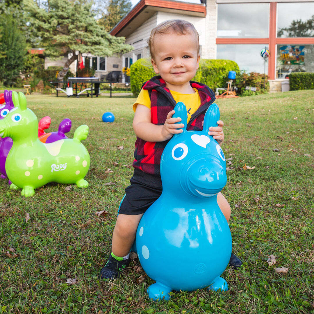 Rody Unicorn Pink – Tom's Toys