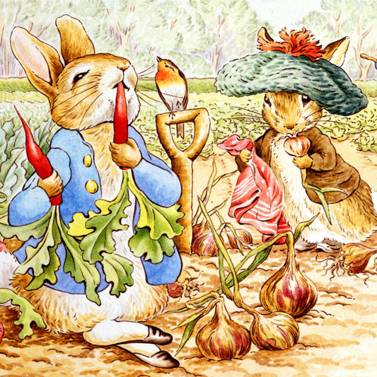 NY Puzzle Mr. McGregor's Garden 48pc