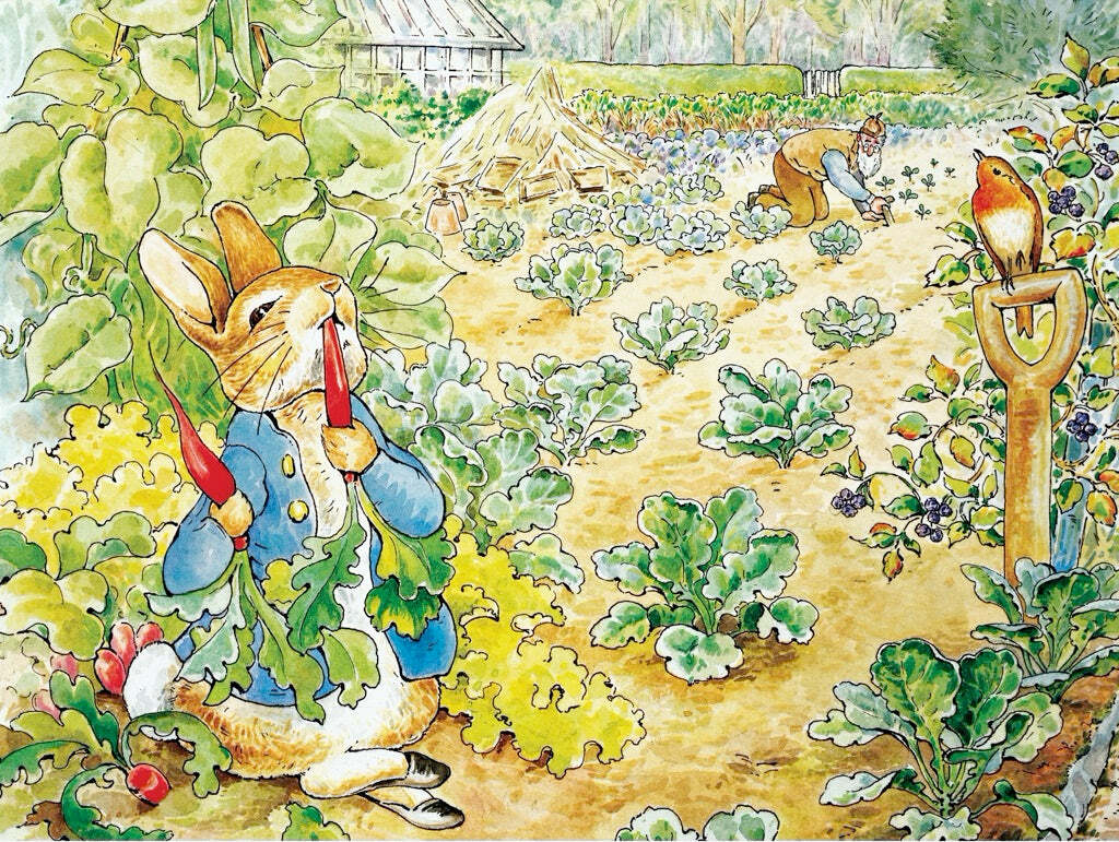 Peter Rabbit's Garden Snack Puzzle (500 Pc)