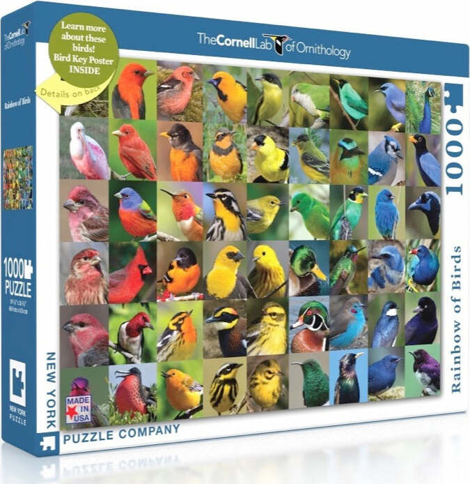 NY Puzzle Rainbow of Birds 1000pc