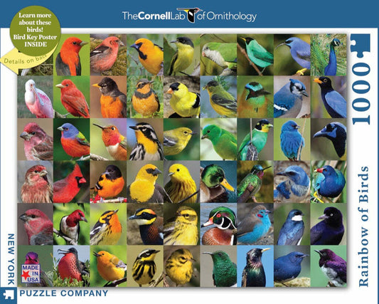 NY Puzzle Rainbow of Birds 1000pc