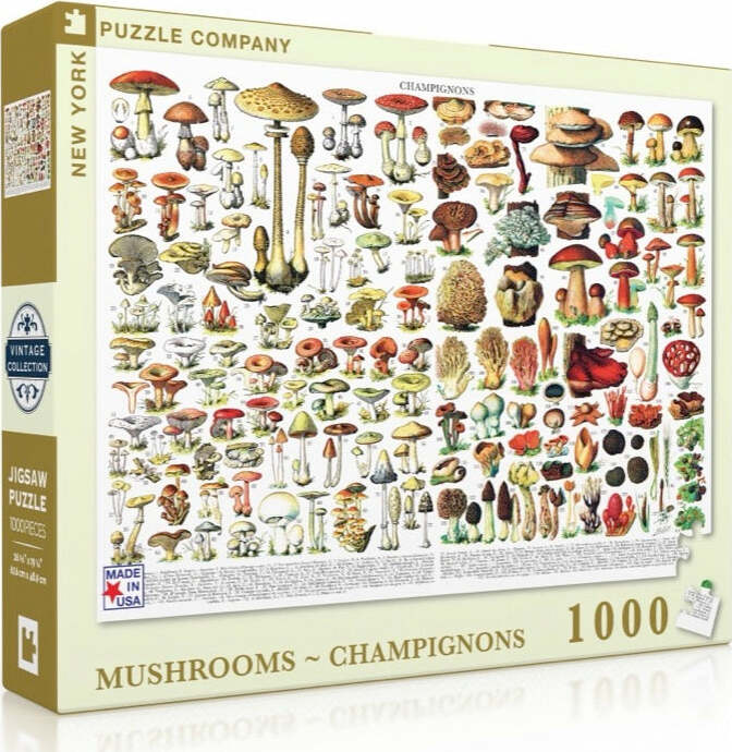 Mushrooms - Champignons