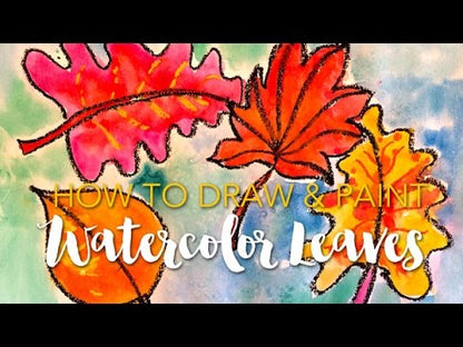 FC Watercolor Paint Set